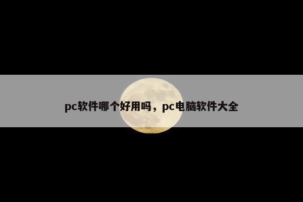 pc软件哪个好用吗，pc电脑软件大全