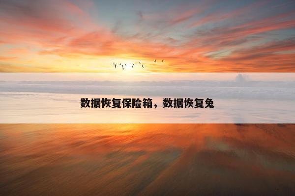 数据恢复保险箱，数据恢复兔