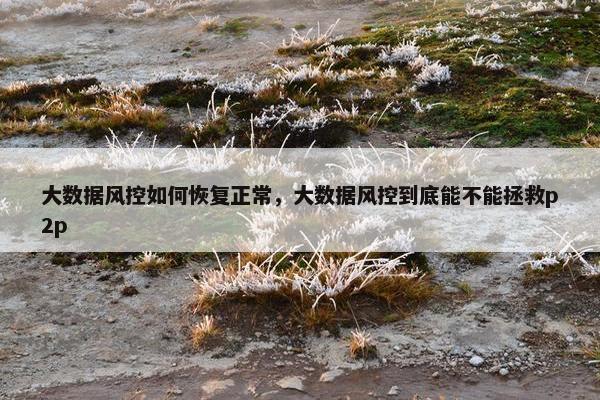 大数据风控如何恢复正常，大数据风控到底能不能拯救p2p