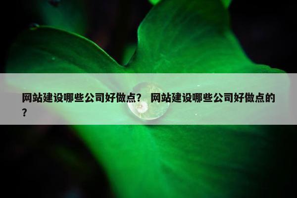 网站建设哪些公司好做点？ 网站建设哪些公司好做点的？