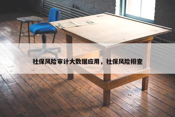 社保风险审计大数据应用，社保风险排查