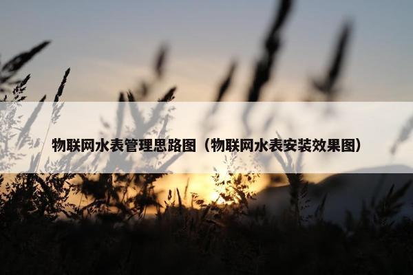 物联网水表管理思路图（物联网水表安装效果图）