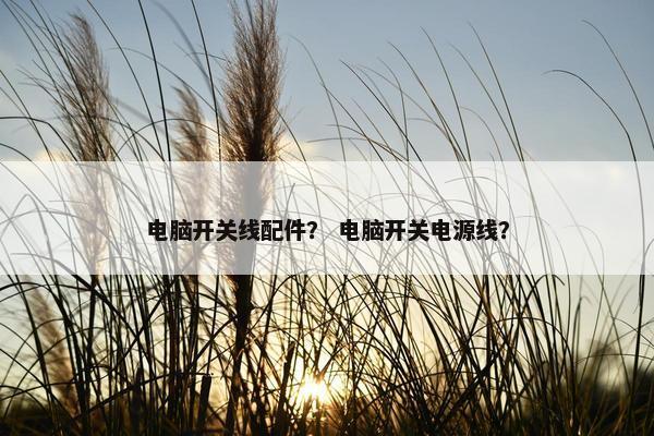 电脑开关线配件？ 电脑开关电源线？