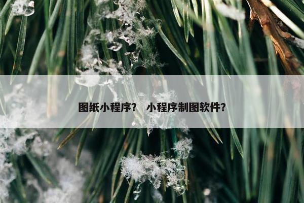 图纸小程序？ 小程序制图软件？