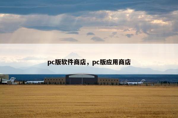 pc版软件商店，pc版应用商店
