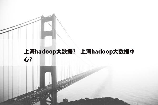 上海hadoop大数据？ 上海hadoop大数据中心？
