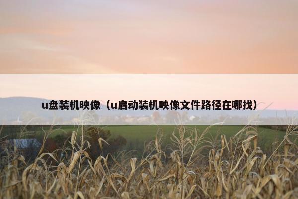 u盘装机映像（u启动装机映像文件路径在哪找）