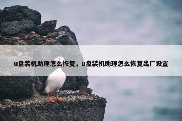 u盘装机助理怎么恢复，u盘装机助理怎么恢复出厂设置