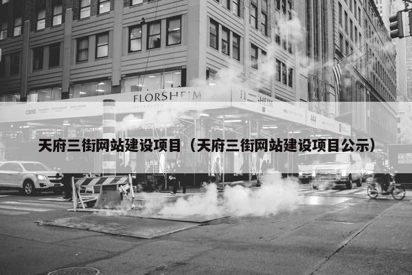 天府三街网站建设项目（天府三街网站建设项目公示）
