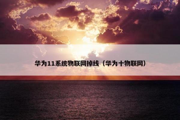 华为11系统物联网掉线（华为十物联网）