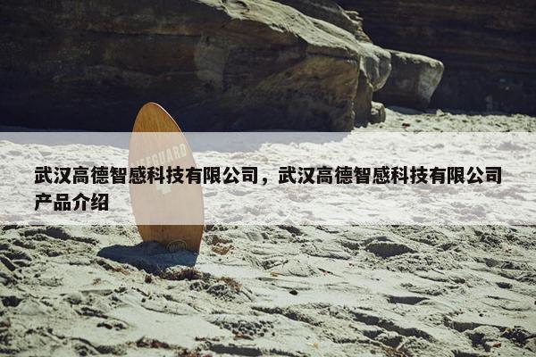 武汉高德智感科技有限公司，武汉高德智感科技有限公司产品介绍