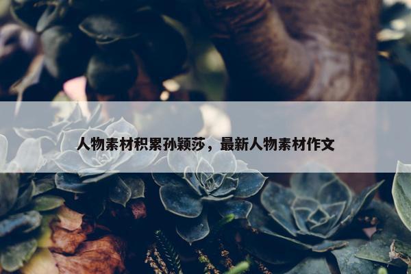 人物素材积累孙颖莎，最新人物素材作文