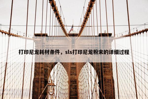 打印尼龙耗材条件，sls打印尼龙粉末的详细过程