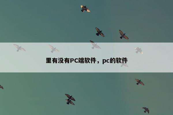 里有没有PC端软件，pc的软件