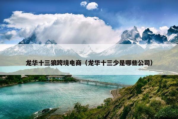 龙华十三狼跨境电商（龙华十三少是哪些公司）