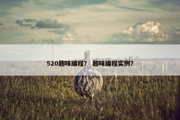 520趣味编程？ 趣味编程实例？