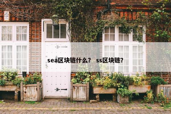 sea区块链什么？ ss区块链？