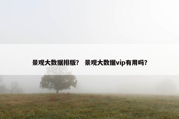 景观大数据排版？ 景观大数据vip有用吗？