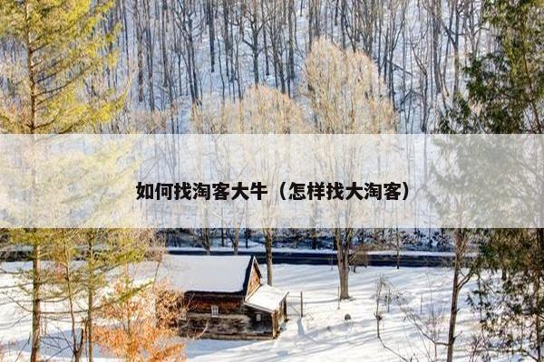 如何找淘客大牛（怎样找大淘客）