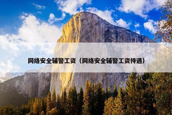 网络安全辅警工资（网络安全辅警工资待遇）