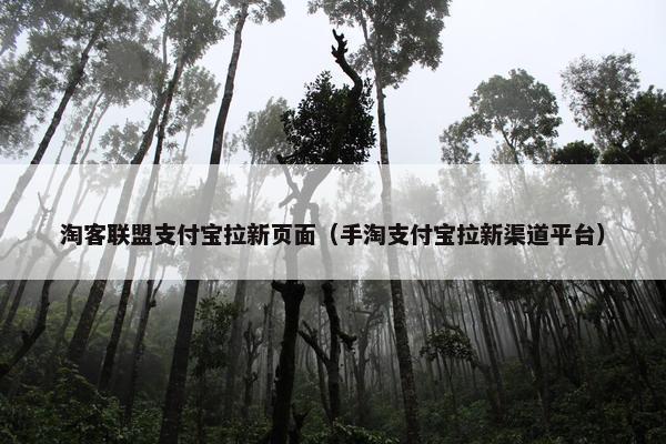淘客联盟支付宝拉新页面（手淘支付宝拉新渠道平台）