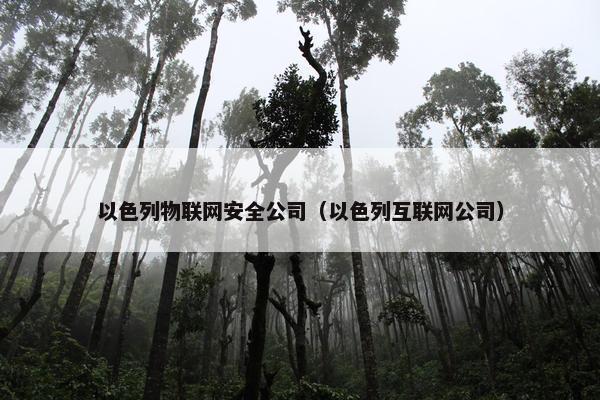 以色列物联网安全公司（以色列互联网公司）