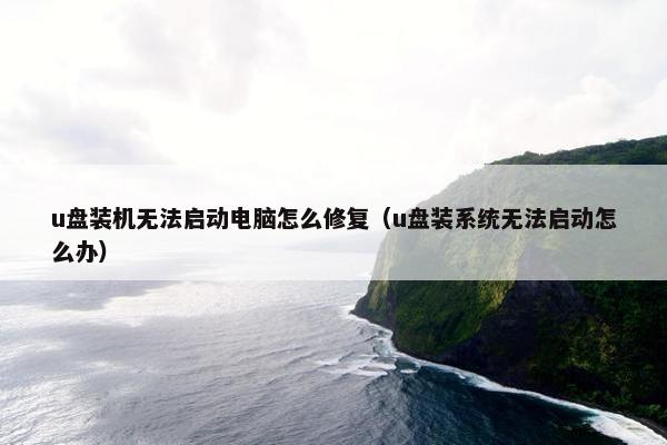 u盘装机无法启动电脑怎么修复（u盘装系统无法启动怎么办）