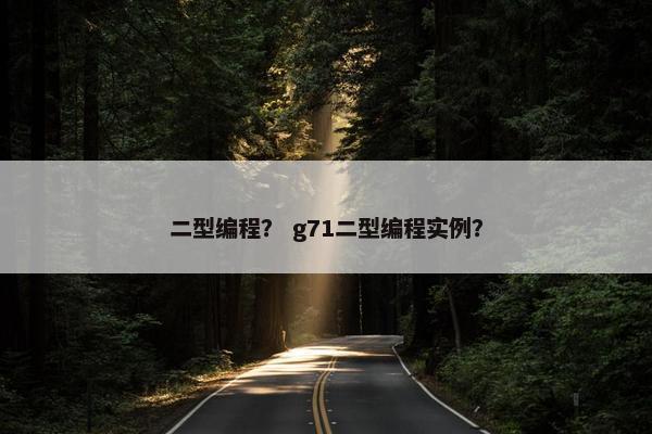 二型编程？ g71二型编程实例？