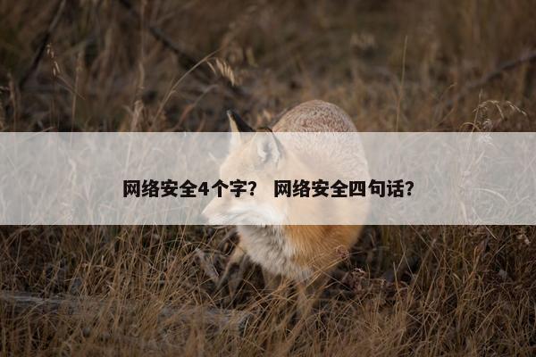 网络安全4个字？ 网络安全四句话？