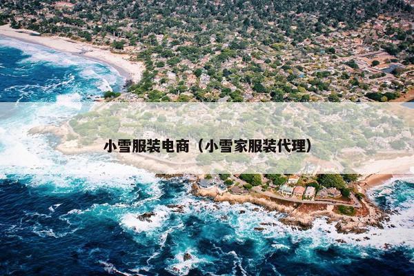 小雪服装电商（小雪家服装代理）