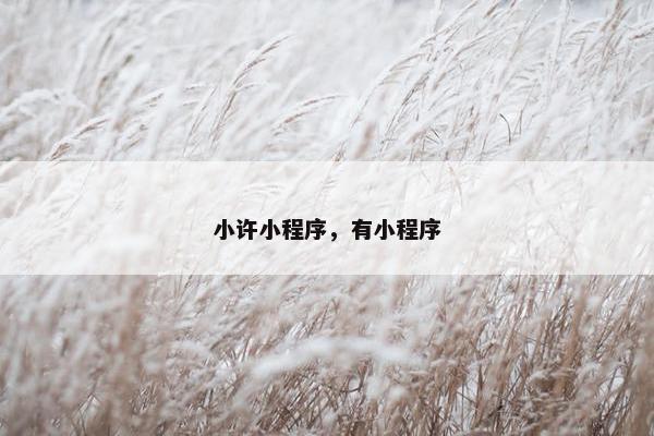 小许小程序，有小程序