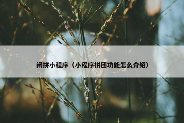 闭拼小程序（小程序拼团功能怎么介绍）