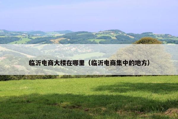临沂电商大楼在哪里（临沂电商集中的地方）