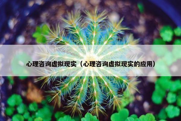 心理咨询虚拟现实（心理咨询虚拟现实的应用）