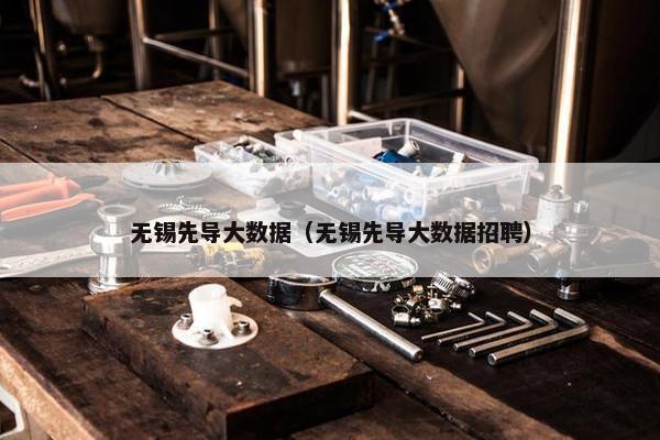 无锡先导大数据（无锡先导大数据招聘）