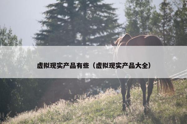 虚拟现实产品有些（虚拟现实产品大全）