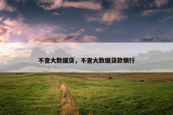 不查大数据贷，不查大数据贷款银行