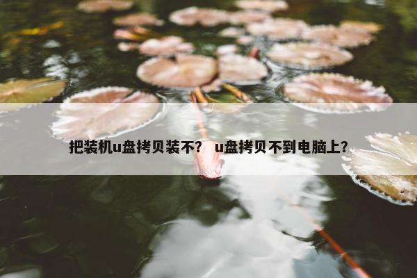 把装机u盘拷贝装不？ u盘拷贝不到电脑上？