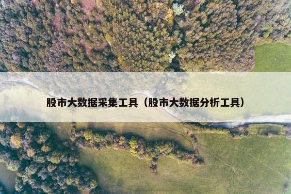 股市大数据采集工具（股市大数据分析工具）