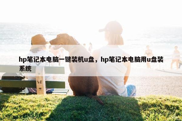 hp笔记本电脑一键装机u盘，hp笔记本电脑用u盘装系统