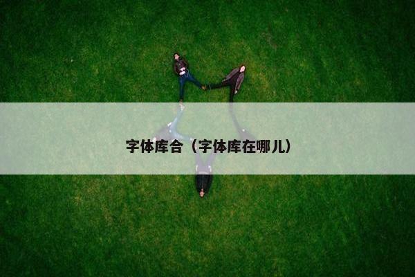 字体库合（字体库在哪儿）