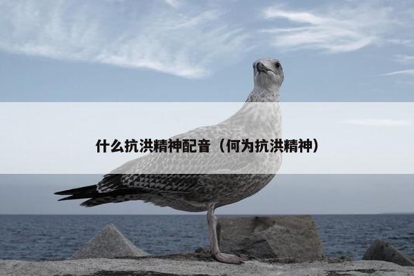 什么抗洪精神配音（何为抗洪精神）