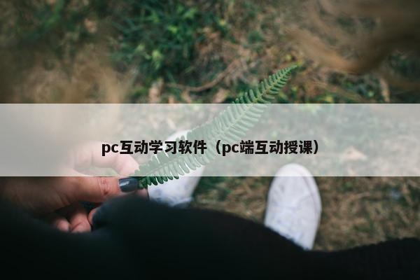pc互动学习软件（pc端互动授课）