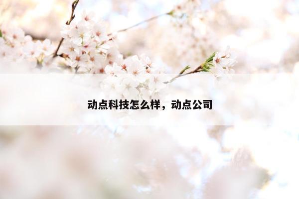 动点科技怎么样，动点公司