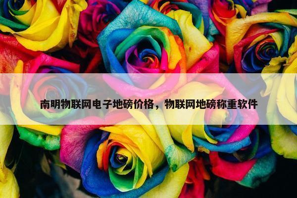 南明物联网电子地磅价格，物联网地磅称重软件