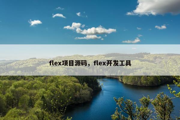 flex项目源码，flex开发工具