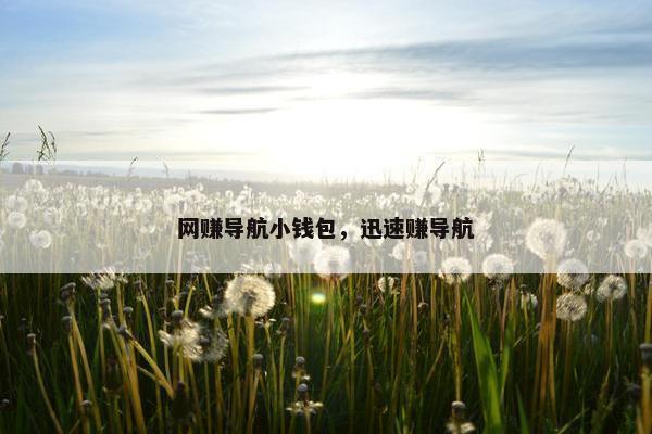 网赚导航小钱包，迅速赚导航