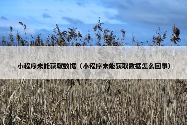 小程序未能获取数据（小程序未能获取数据怎么回事）