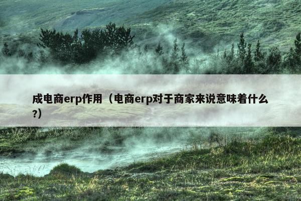 成电商erp作用（电商erp对于商家来说意味着什么?）