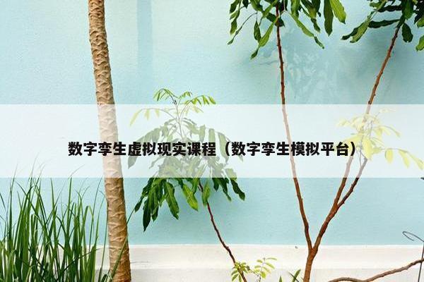 数字孪生虚拟现实课程（数字孪生模拟平台）